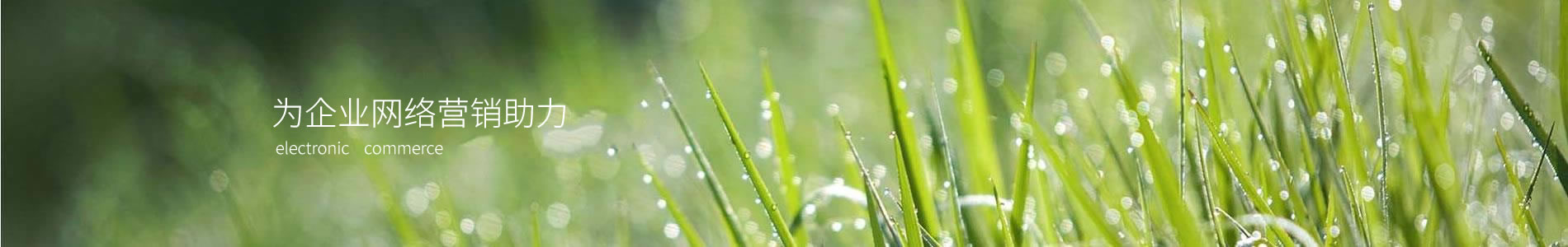 Ī˹ܿƼ޹˾